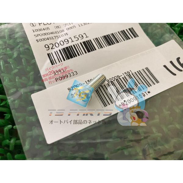 バリオスII キャブレタースクリュー 在庫有 即納 カワサキ 純正 新品 バイク 部品 ZZ-R11...