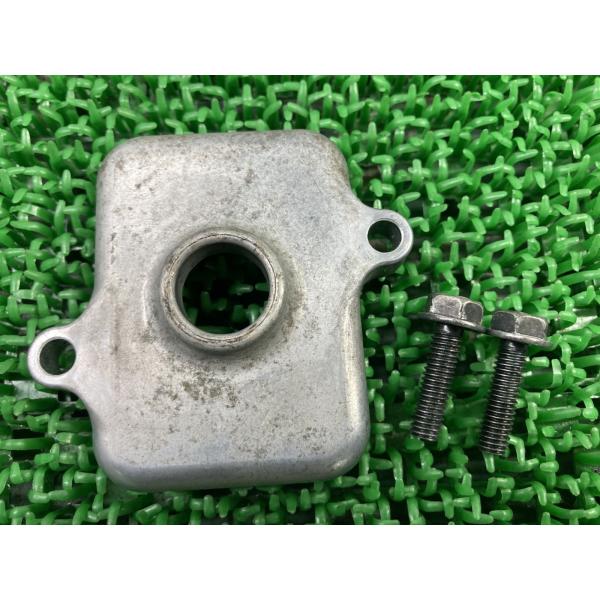 GPZ900R リードバルブキャップ 926 カワサキ 純正 中古 ZX900A エンジンカバー リ...