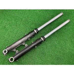 BMW S1000RR フロントフォーク 左右 7718379/7718380 BMW 純正 中古