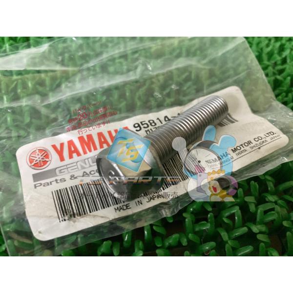 TT-R225 マフラーステーボルト ヤマハ 純正 新品 バイク 部品 FJR1300 XVZ130...