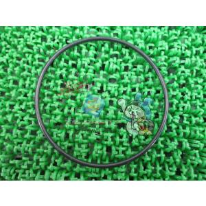 Ninja250R オイルフィルターOリング 在庫有 即納 カワサキ 純正 新品 バイク 部品 在庫...