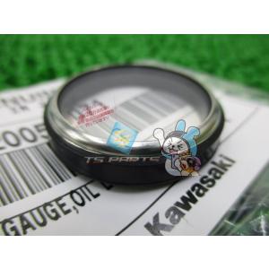 GPZ900R オイルレベルゲージ 在庫有 即納 カワサキ 純正 新品 バイク 部品 KAWASAK...