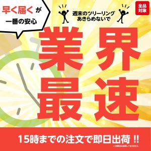 ズーマー クランクケースカバーガスケット 左 ...の詳細画像4