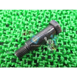 ZZ-R1200 センタースタンドボルト 在庫有 即納 カワサキ 純正 新品 バイク 部品 車検 G...