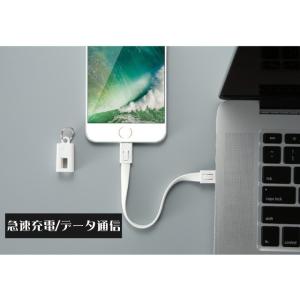 iPhone 充電ケーブル 短い 充電器 コー...の詳細画像3