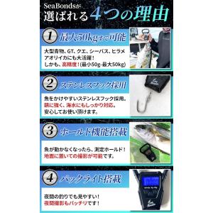 フィッシングメジャー デジタルスケール 釣り ...の詳細画像3