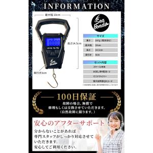 フィッシングメジャー デジタルスケール 釣り ...の詳細画像4