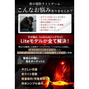 ヘッドライト 釣り 充電式 堤防ライトゲーム専...の詳細画像2