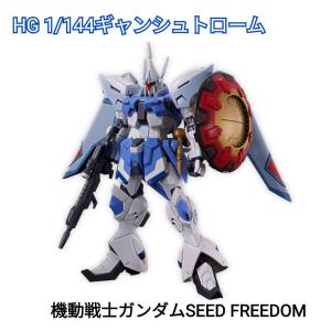 HG 機動戦士ガンダム SEED FREEDOM ギャンシュトローム（アグネス・ギーベンラート専用機） 1/144スケール 色分け済み プラモデル