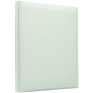ナカバヤシ ファイル デジタルフリーアルバム ビス式 デミサイズ グリーン アH-DF-132-G