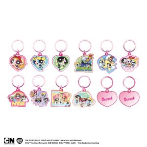 パワーパフガールズ グッズ コンプリート チャーム ティーズ