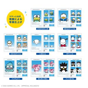 〈BOX〉サンリオキャラクターズ 証明写真風ス...の詳細画像4