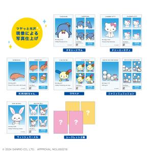 〈BOX〉サンリオキャラクターズ 証明写真風ス...の詳細画像5
