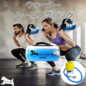 筋トレ用品 ルルドスタイル EMSプランクトレーナー AX-FYL900 – アテックス
