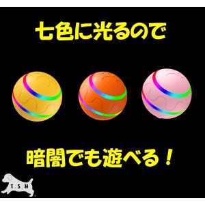 ペット用電動ムービングボール 直径8cm スマ...の詳細画像2
