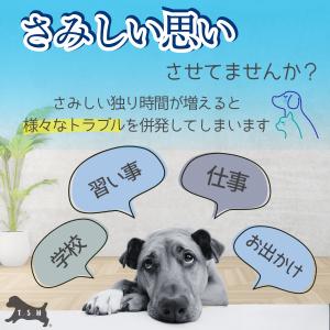 ペット用電動ムービングボール 直径8cm スマ...の詳細画像4