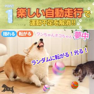 ペット用電動ムービングボール 直径8cm スマ...の詳細画像5