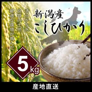 新潟県産コシヒカリ 5kg お米 ご飯 美味しい 白米｜tshop106