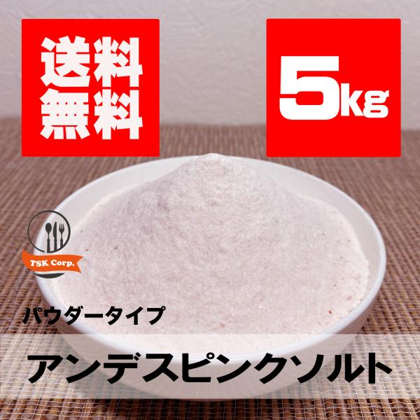 ピンクソルト　バスソルト　５kg　岩塩　計量スプーン付き