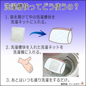 洗濯槽クリーナー 洗濯槽快 30g 3個セット...の詳細画像1