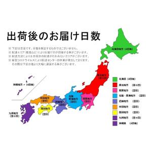 洗濯槽クリーナー 洗濯槽快 30g 3個セット...の詳細画像5