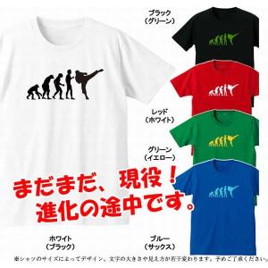 面白tシャツ グラフィックtシャツ 人類の進化 空手 ムエタイ テコンドー 全5色 サイズs 4l Stc f Tシャツリンクス 通販 Yahoo ショッピング