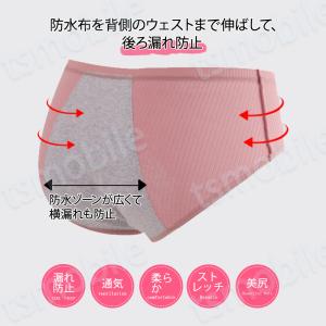 サニタリーショーツ 3枚入 レディース 綿 ス...の詳細画像2