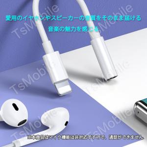 apple 3.5mmAUXジャック 変換ケー...の詳細画像5