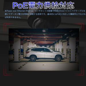 CAT 6A LANケーブル 長さ指定してカッ...の詳細画像2