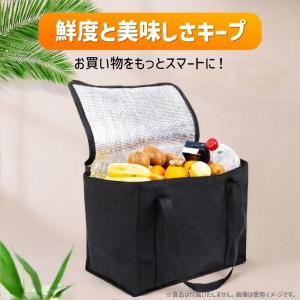 レジカゴ 保冷バッグ 大容量 35L 折りたた...の詳細画像3