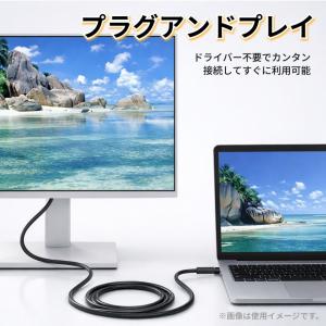 USB Type-C to VGA 変換ケーブ...の詳細画像5