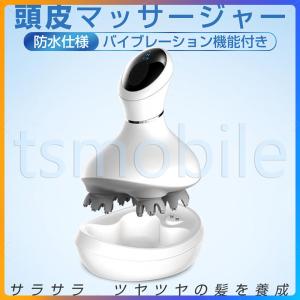 アムウェイ ニュートリライト 家庭用美容器 ヘッドスパ Amway : イイ