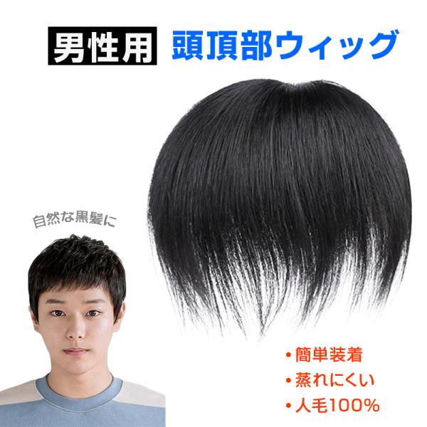 ウィッグ メンズ 男性 ヘアピース 人毛100％ 頭頂部 部分ウィッグ トップカバー 薄毛 白髪隠し...