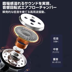 3.5mmデュアルプラグ カナル型 イヤホン ...の詳細画像4
