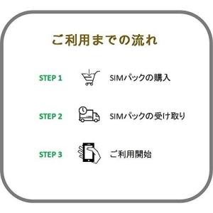 プリペイド SIM 格安 データ100G/月 ...の詳細画像1