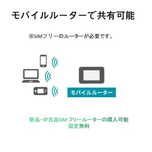 プリペイド SIM 格安 データ100G/月 ...の詳細画像3
