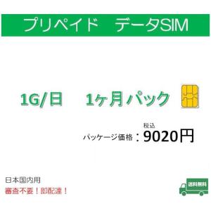 プリペイドsim データ通信 日本国内 ドコモ 格安SIM 高速データ容量1G/日1ヶ月プラン Docomo  1ヶ月パック)レンタル 返却不要｜tsmobile
