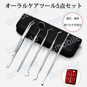 歯石取り 5本セット ケース付き スケーラー ...の詳細画像1