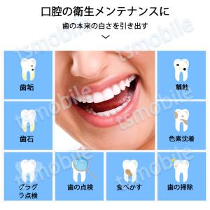 歯石取り 5本セット ケース付き スケーラー ...の詳細画像2