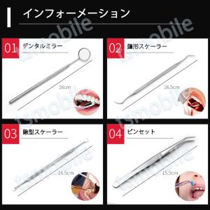 歯石取り 5本セット ケース付き スケーラー ...の詳細画像4