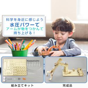 水圧式 ロボットアーム 工作キット 科学 小学...の詳細画像1