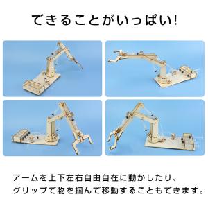 水圧式 ロボットアーム 工作キット 科学 小学...の詳細画像3