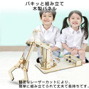 水圧式 ロボットアーム 工作キット 科学 小学...の詳細画像5