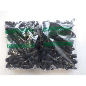 ブリヂストン レグノGR-XII 205/55R16 2019年 レグノ（ブリヂストン） 2019年製 BS ブリヂストン レグノ REGNO