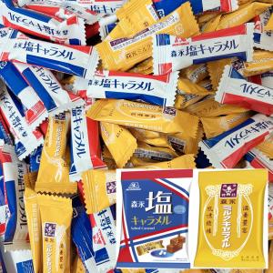森永製菓 ミルクキャラメル 塩キャラメル 2種 約計55個 アソート セット 個包装 お菓子 詰め合わせ 大容量 おやつ｜TSプライムマーケット