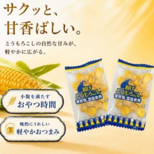 【約200g (約55袋)】タクマ食品 揚げと...の詳細画像2
