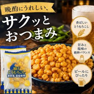 【約200g (約55袋)】タクマ食品 揚げと...の詳細画像4