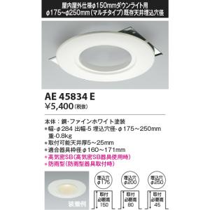AE45834E 屋内屋外仕様ダウンライト用 ...の詳細画像1