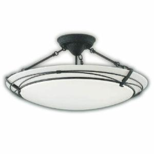 Panasonic（パナソニック） NNFB87009 天井直付型 LED（昼白色）非常用