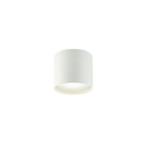 AU54790 エクステリア 軒下用LEDシーリングライト ランプタイプ 重耐塩仕様 密閉式 白熱球60W相当 非調光 昼白色 コイズミ照明 照明器具｜tss
